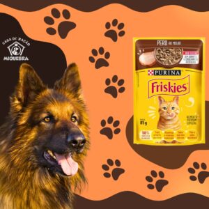 Sache friskies gato