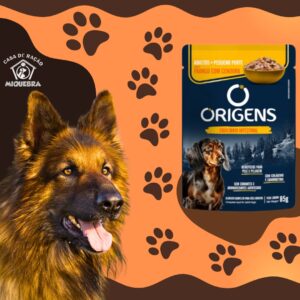 Sache origens cachorro